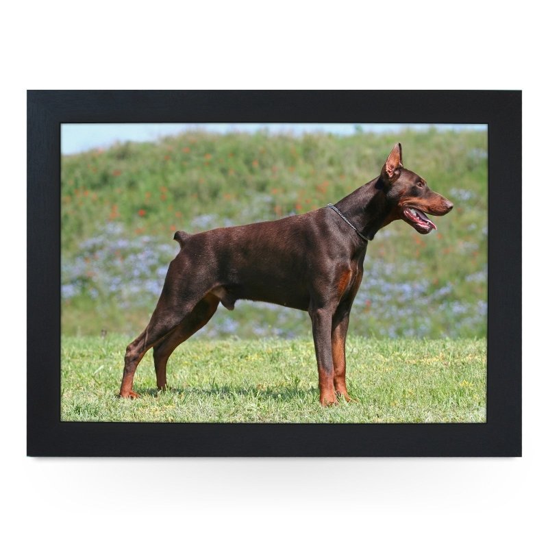 Yoosh Doberman Dog Lap Tray - Kitchen Tools & Gadgets - British D'sire