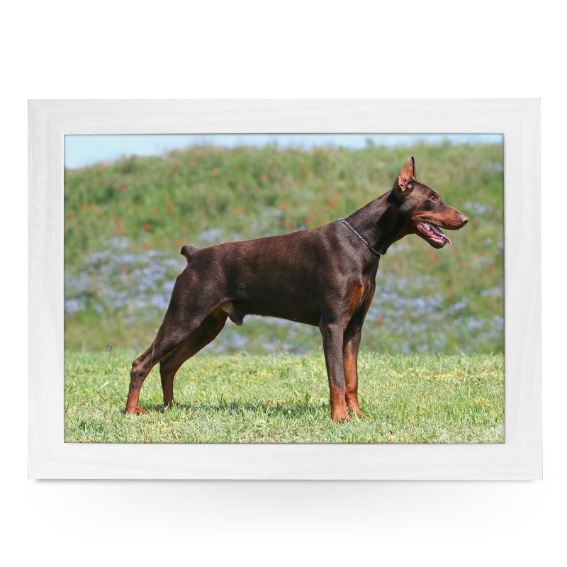 Yoosh Doberman Dog Lap Tray - Kitchen Tools & Gadgets - British D'sire