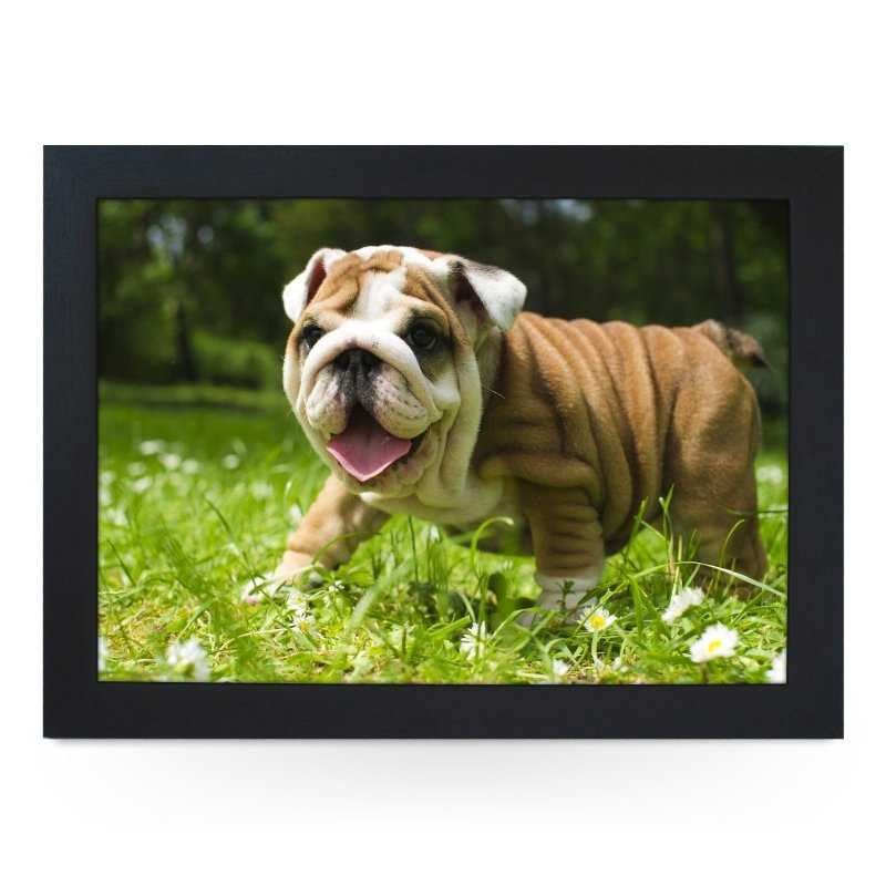 Yoosh English Bulldog Puppy Lap Tray - L0142 - Kitchen Tools & Gadgets - British D'sire