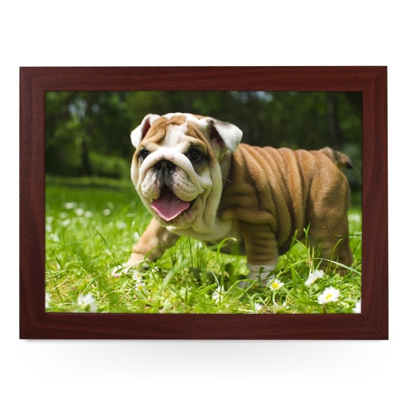 Yoosh English Bulldog Puppy Lap Tray - L0142 - Kitchen Tools & Gadgets - British D'sire