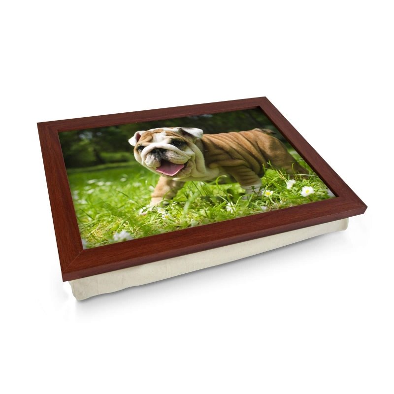 Yoosh English Bulldog Puppy Lap Tray - L0142 - Kitchen Tools & Gadgets - British D'sire