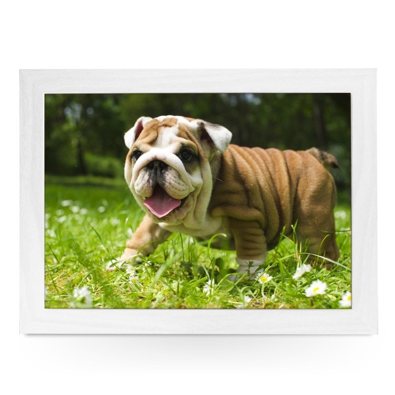 Yoosh English Bulldog Puppy Lap Tray - L0142 - Kitchen Tools & Gadgets - British D'sire