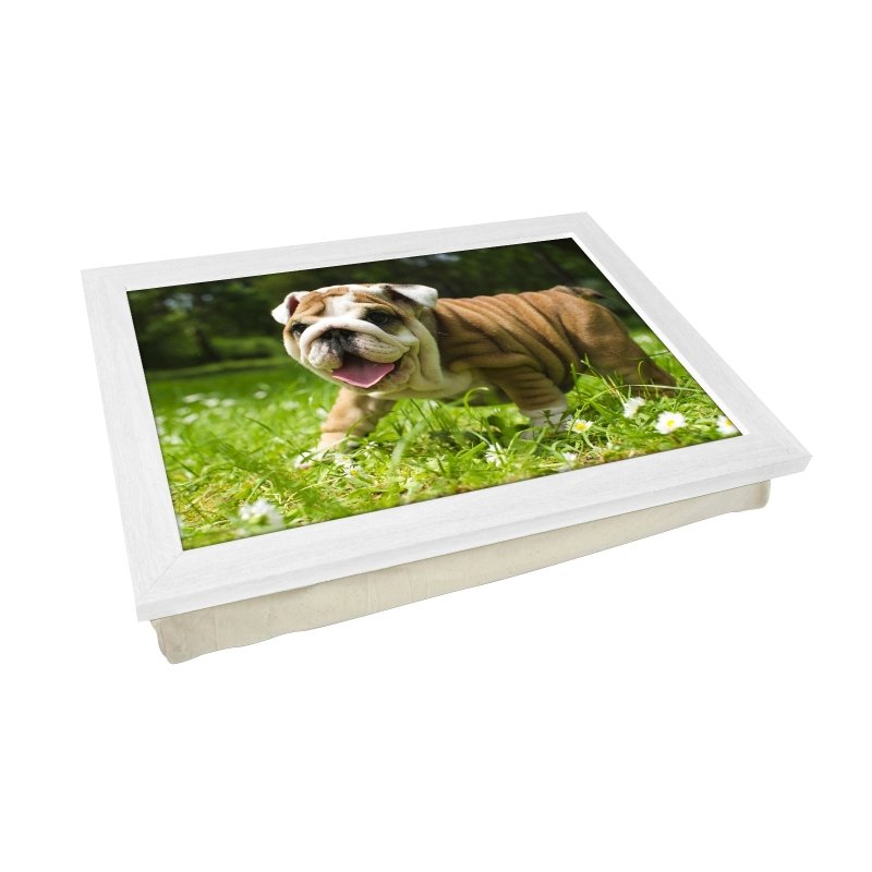 Yoosh English Bulldog Puppy Lap Tray - L0142 - Kitchen Tools & Gadgets - British D'sire