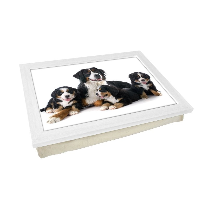 Yoosh Family of Bernese Moutain Dogs Lap Tray - L0161 - Kitchen Tools & Gadgets - British D'sire