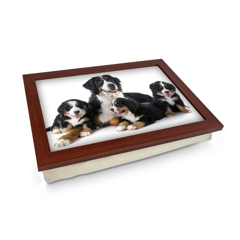 Yoosh Family of Bernese Moutain Dogs Lap Tray - L0161 - Kitchen Tools & Gadgets - British D'sire