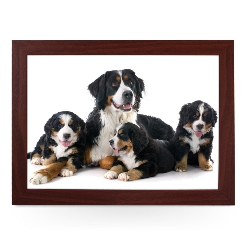 Yoosh Family of Bernese Moutain Dogs Lap Tray - L0161 - Kitchen Tools & Gadgets - British D'sire