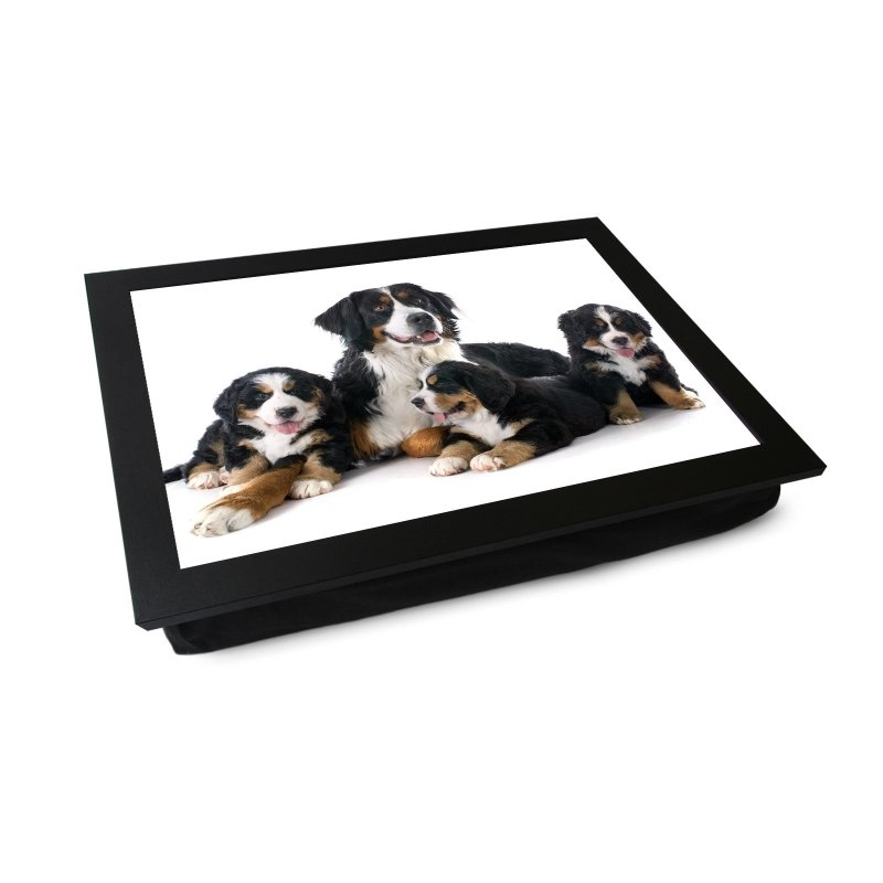 Yoosh Family of Bernese Moutain Dogs Lap Tray - L0161 - Kitchen Tools & Gadgets - British D'sire