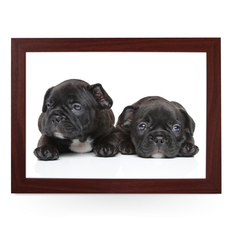 Yoosh French Bulldog Puppies Lap Tray - L0139 - Kitchen Tools & Gadgets - British D'sire