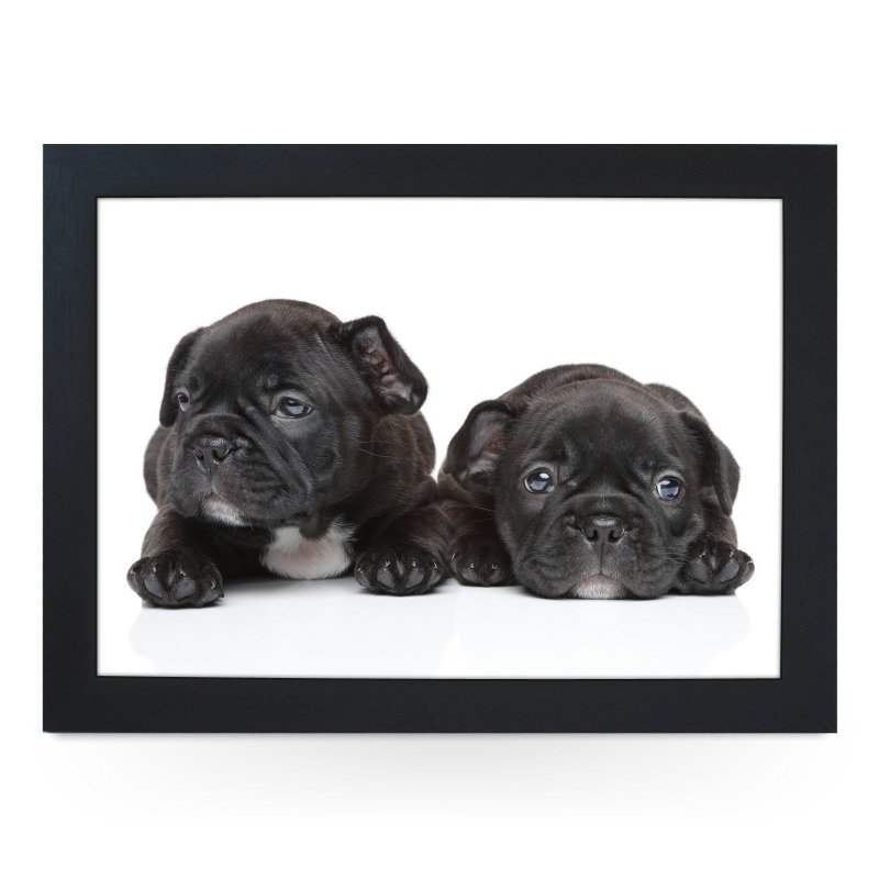 Yoosh French Bulldog Puppies Lap Tray - L0139 - Kitchen Tools & Gadgets - British D'sire