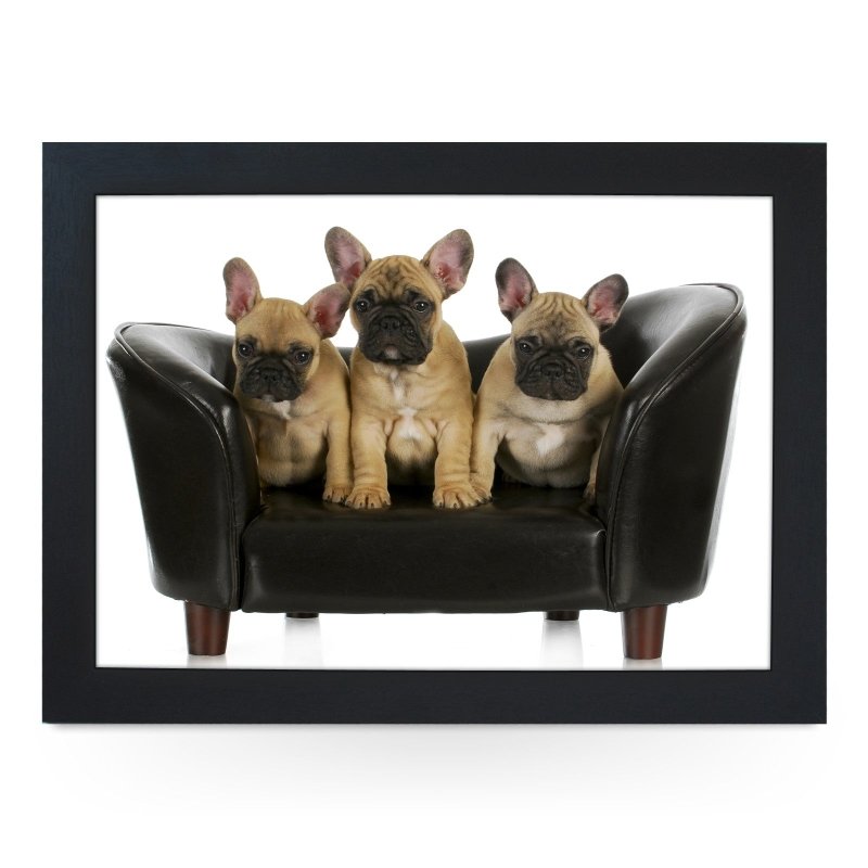 Yoosh French Bulldog Puppies On Sofa Lap Tray - L0137 - Kitchen Tools & Gadgets - British D'sire