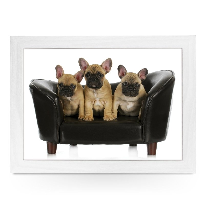 Yoosh French Bulldog Puppies On Sofa Lap Tray - L0137 - Kitchen Tools & Gadgets - British D'sire