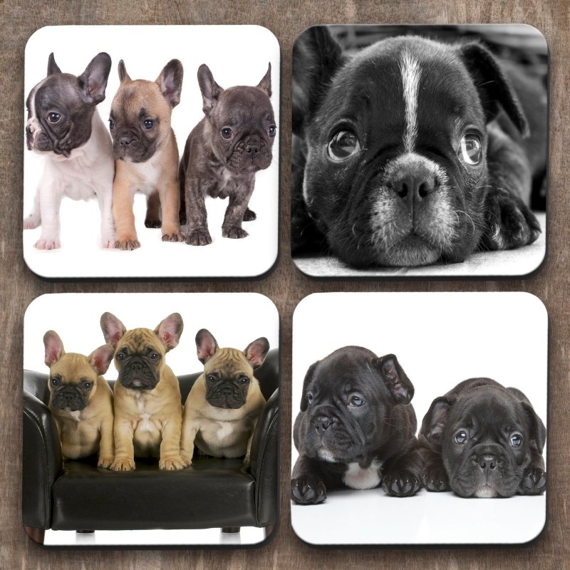 Yoosh French 'Frenchie' Bulldog x 4 Coasters - Kitchen Tools & Gadgets - British D'sire