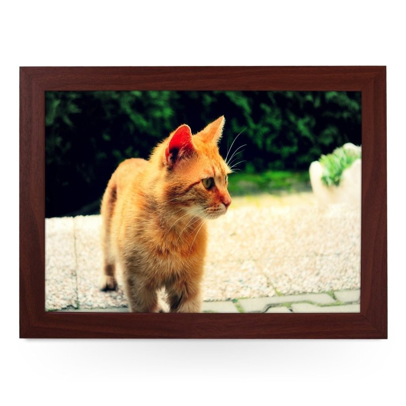 Yoosh Ginger Cat Lap Tray - Kitchen Tools & Gadgets - British D'sire