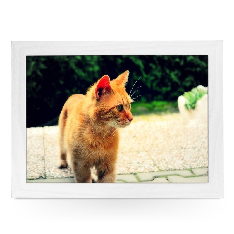 Yoosh Ginger Cat Lap Tray - Kitchen Tools & Gadgets - British D'sire