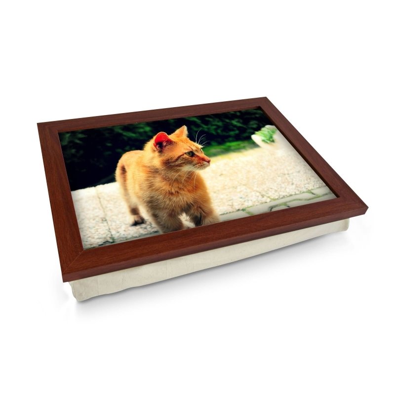 Yoosh Ginger Cat Lap Tray - Kitchen Tools & Gadgets - British D'sire