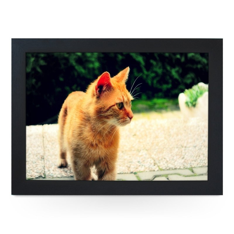 Yoosh Ginger Cat Lap Tray - Kitchen Tools & Gadgets - British D'sire