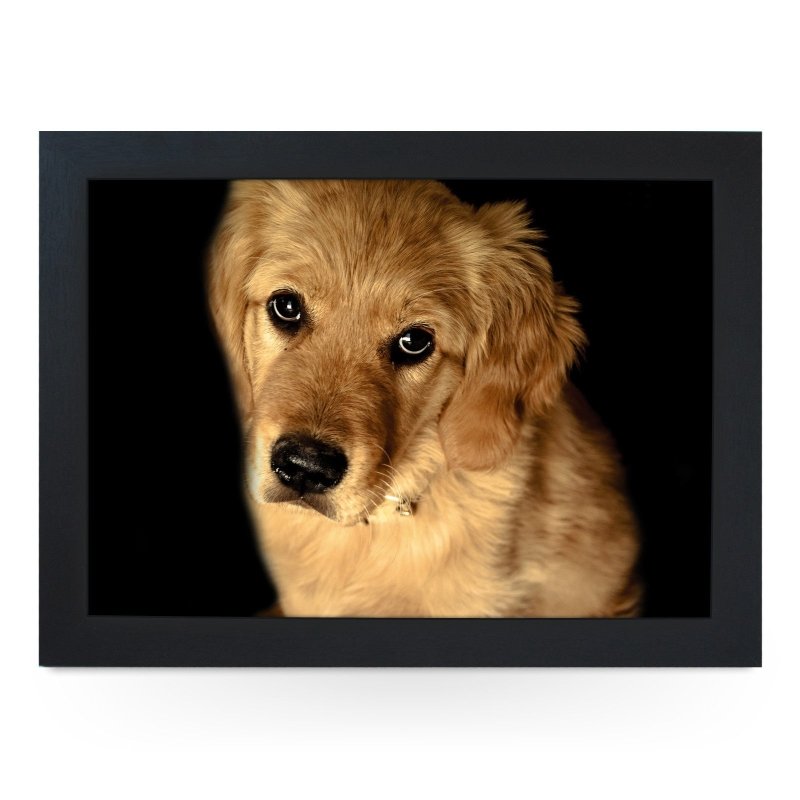 Yoosh Golden Retriever Dog Lap Tray - L0106 - Kitchen Tools & Gadgets - British D'sire