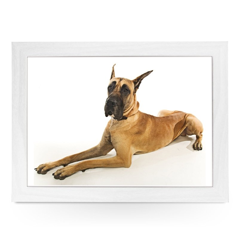 Yoosh Great Dane Dog Lap Tray - Kitchen Tools & Gadgets - British D'sire