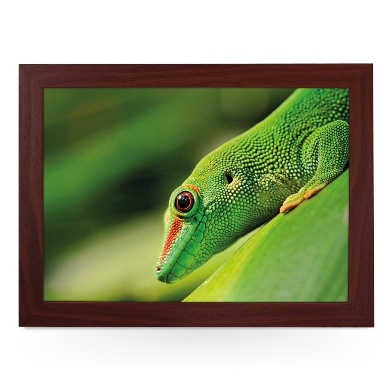 Yoosh Green Gecko Lap Tray - Kitchen Tools & Gadgets - British D'sire