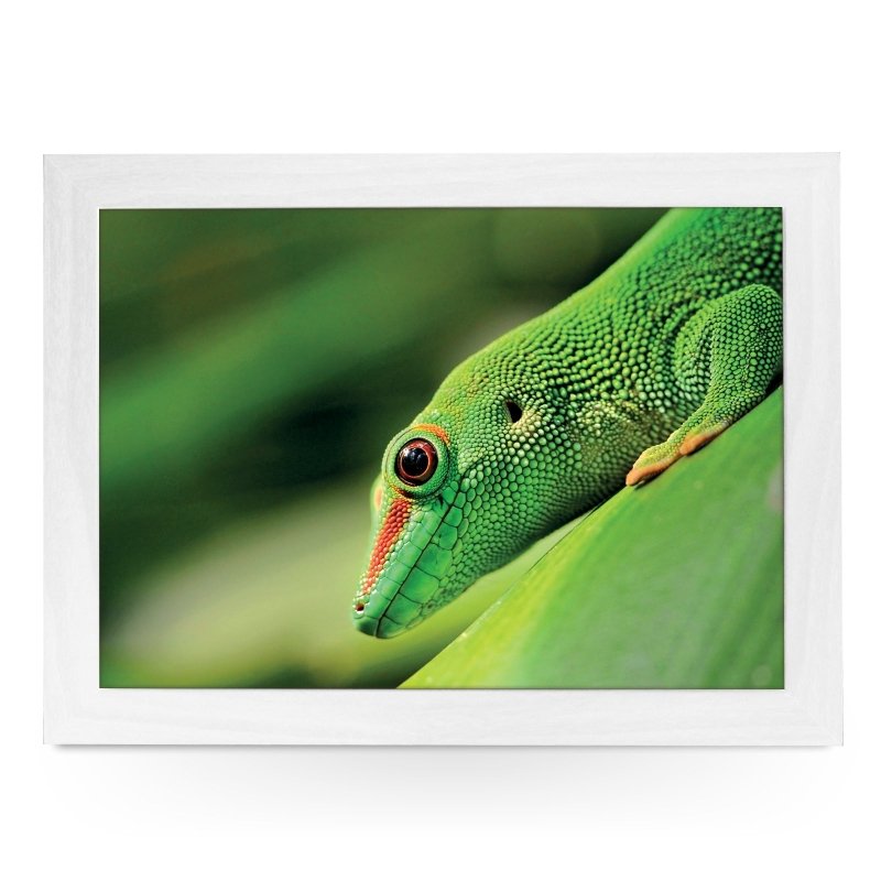 Yoosh Green Gecko Lap Tray - Kitchen Tools & Gadgets - British D'sire