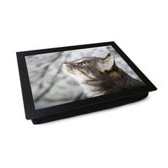 Yoosh Grey Cat Looking Up Lap Tray - L0177 - Kitchen Tools & Gadgets - British D'sire