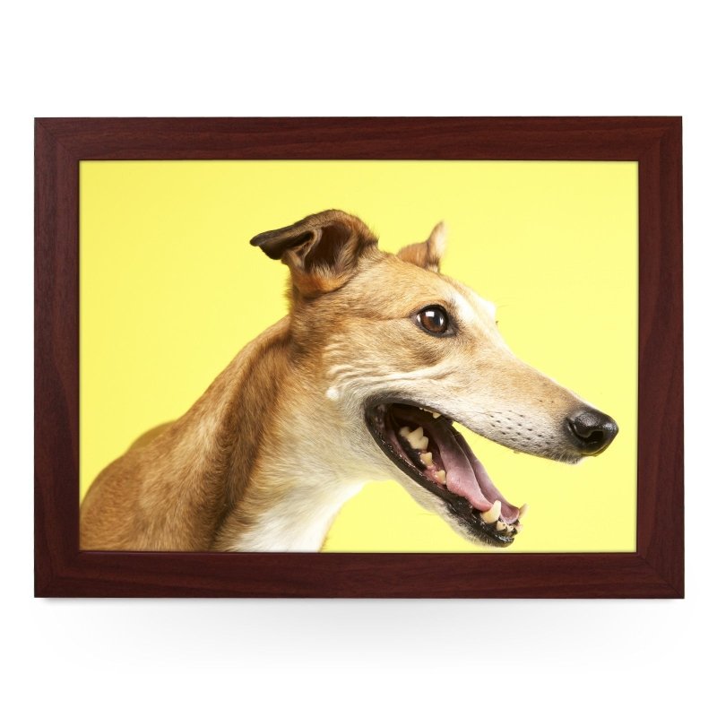 Yoosh Greyhound Lap Tray - Kitchen Tools & Gadgets - British D'sire