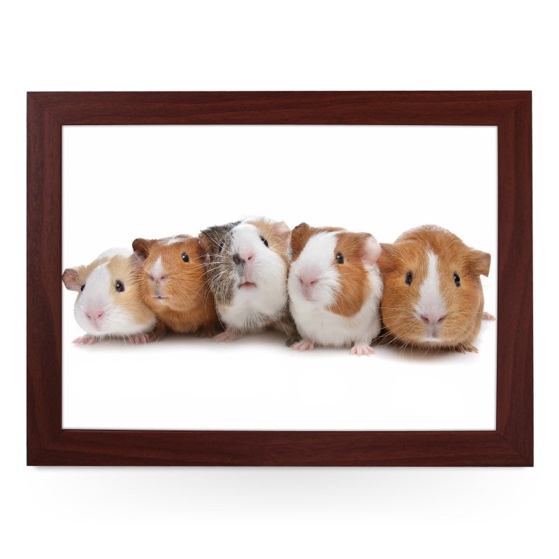 Yoosh Guinea Pigs Lap Tray - L0141 - Kitchen Tools & Gadgets - British D'sire