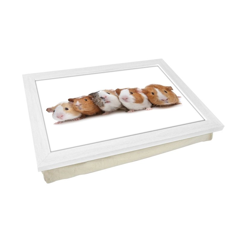 Yoosh Guinea Pigs Lap Tray - L0141 - Kitchen Tools & Gadgets - British D'sire