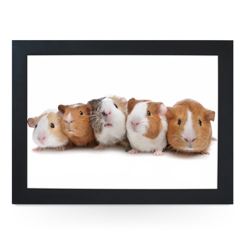 Yoosh Guinea Pigs Lap Tray - L0141 - Kitchen Tools & Gadgets - British D'sire