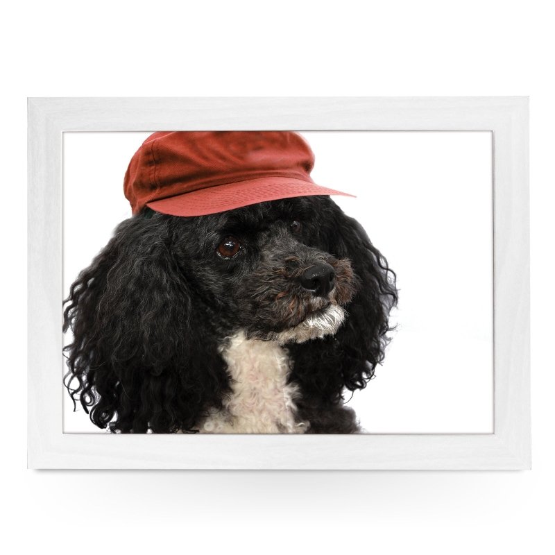 Yoosh Harlequin Poodle Wearing a Hat Lap Tray - L0224 - Kitchen Tools & Gadgets - British D'sire