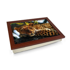 Yoosh Leopard In Tree - L0047 - Kitchen Tools & Gadgets - British D'sire