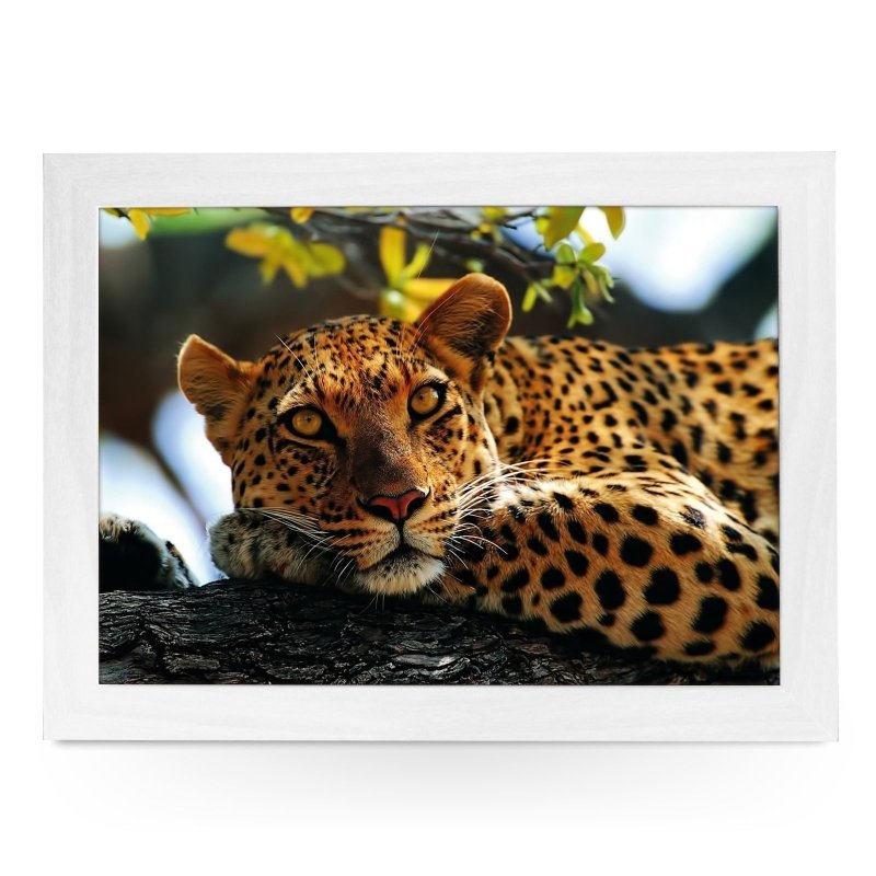 Yoosh Leopard In Tree - L0047 - Kitchen Tools & Gadgets - British D'sire