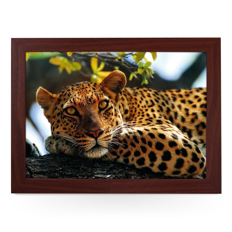 Yoosh Leopard In Tree - L0047 - Kitchen Tools & Gadgets - British D'sire