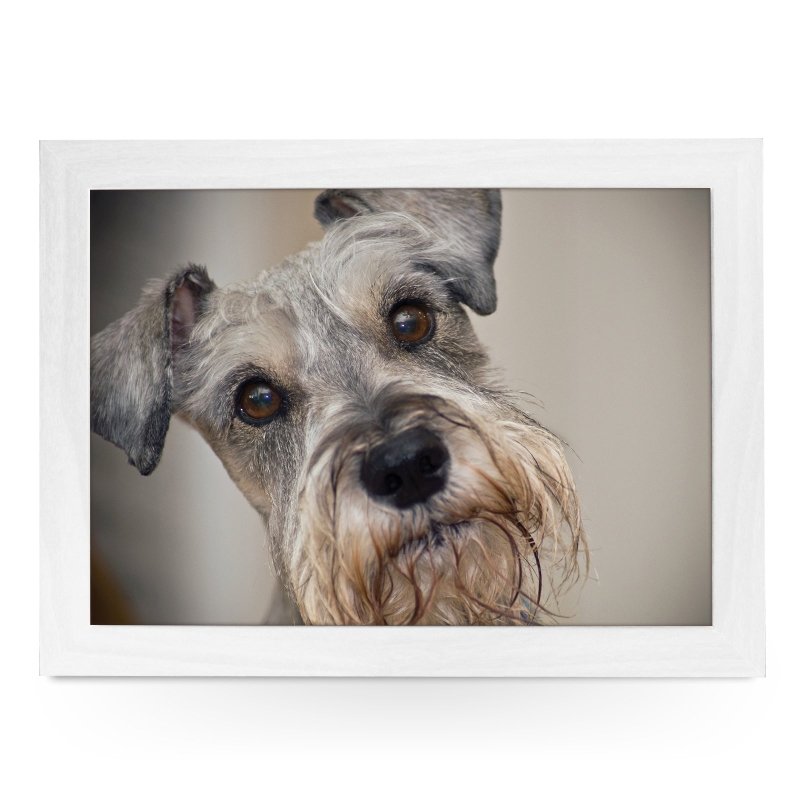 Yoosh Miniature Schnauzer Lap Tray - L0061 - Kitchen Tools & Gadgets - British D'sire