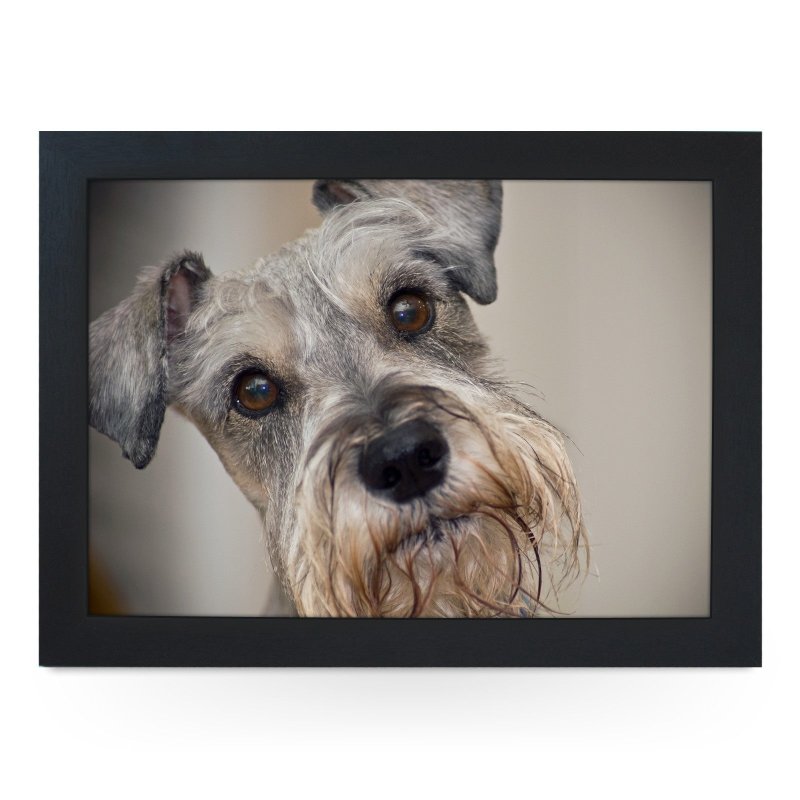 Yoosh Miniature Schnauzer Lap Tray - L0061 - Kitchen Tools & Gadgets - British D'sire