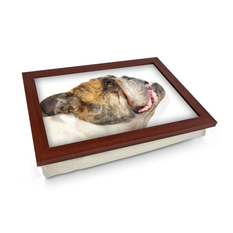 Yoosh Old Bull Dog Lap Tray - Kitchen Tools & Gadgets - British D'sire