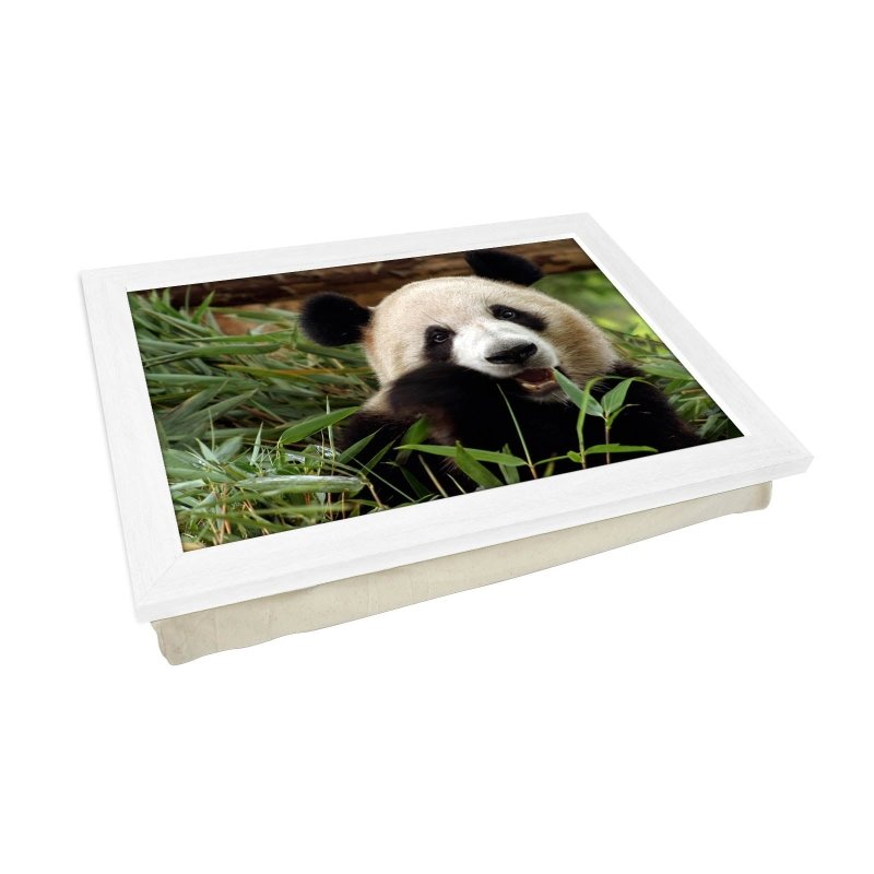 Yoosh Panda Lap Tray - Kitchen Tools & Gadgets - British D'sire