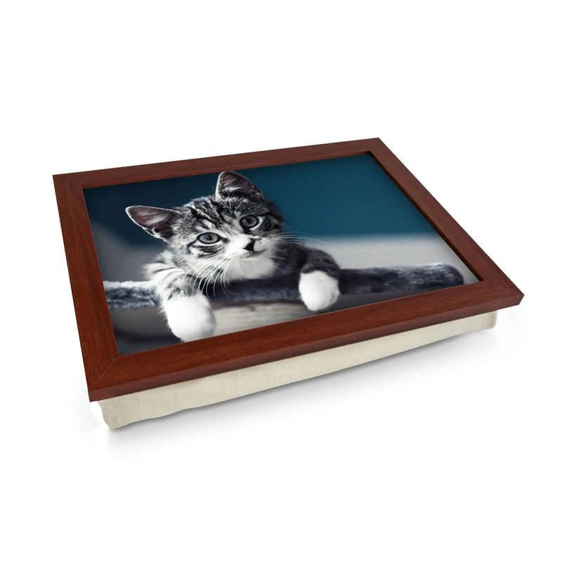 Yoosh Personalised Grey Kitten Playing Lap Tray - Kitchen Tools & Gadgets - British D'sire