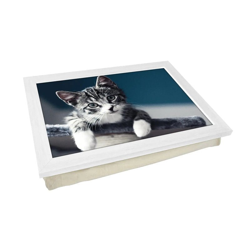 Yoosh Personalised Grey Kitten Playing Lap Tray - Kitchen Tools & Gadgets - British D'sire