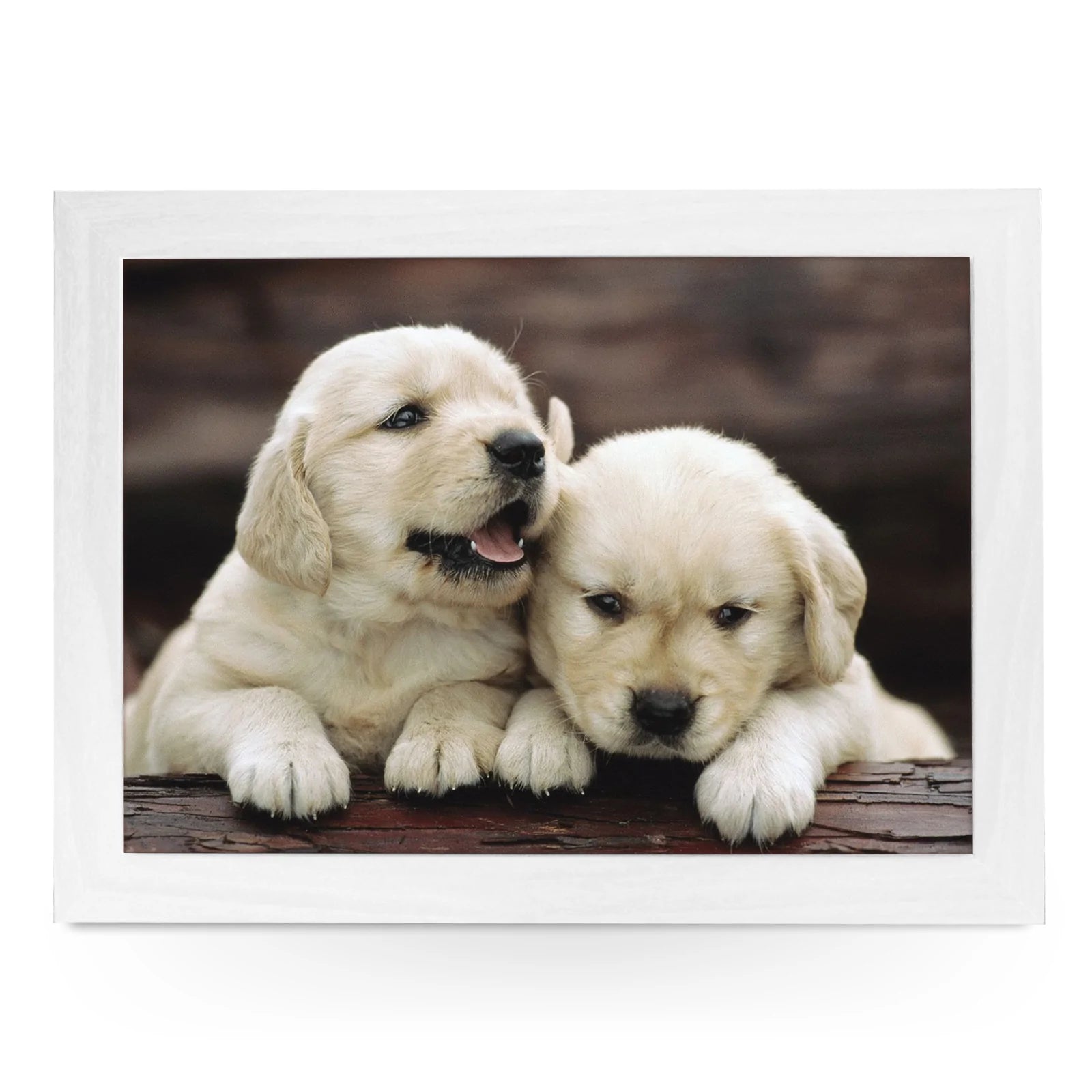 Yoosh Personalize Golden Retriever Puppies Lap Tray - Kitchen Tools & Gadgets - British D'sire