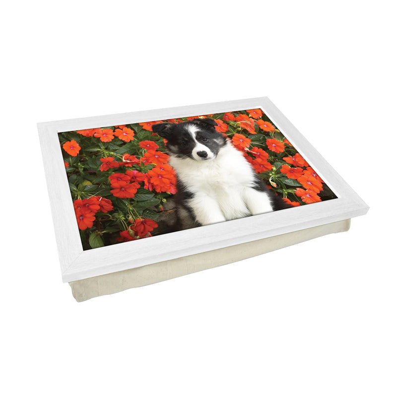 Yoosh Personalize Shetland Sheepdog Puppy Lap Tray - Kitchen Tools & Gadgets - British D'sire