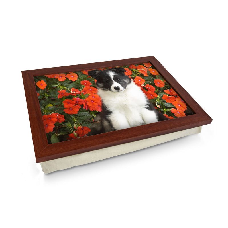 Yoosh Personalize Shetland Sheepdog Puppy Lap Tray - Kitchen Tools & Gadgets - British D'sire