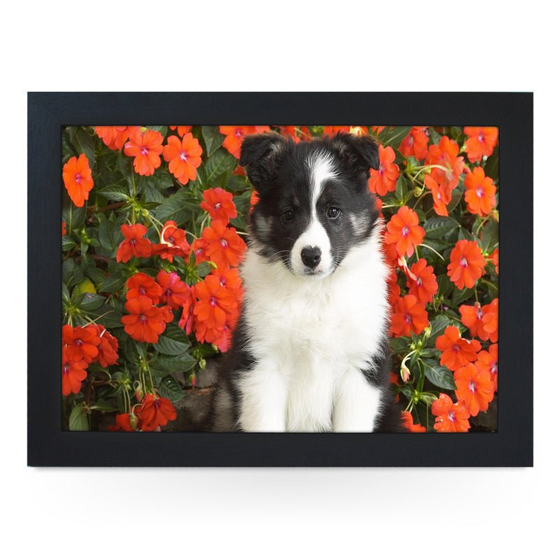 Yoosh Personalize Shetland Sheepdog Puppy Lap Tray - Kitchen Tools & Gadgets - British D'sire