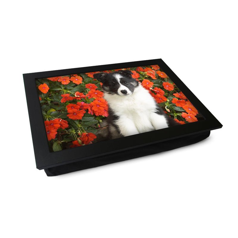 Yoosh Personalize Shetland Sheepdog Puppy Lap Tray - Kitchen Tools & Gadgets - British D'sire