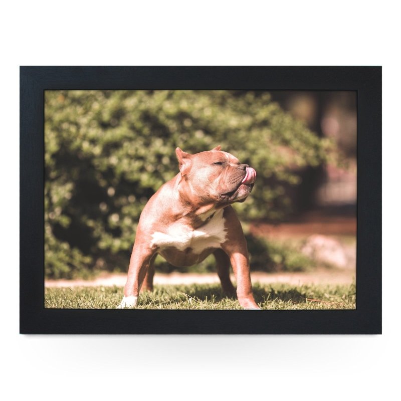 Yoosh Pitbull Dog Lap Tray - L0035 - Kitchen Tools & Gadgets - British D'sire