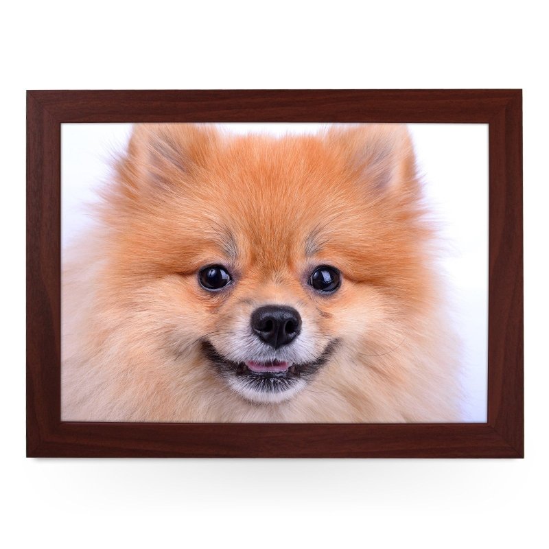 Yoosh Pomeranian Dog Close Up Lap Tray - L0200 - Kitchen Tools & Gadgets - British D'sire