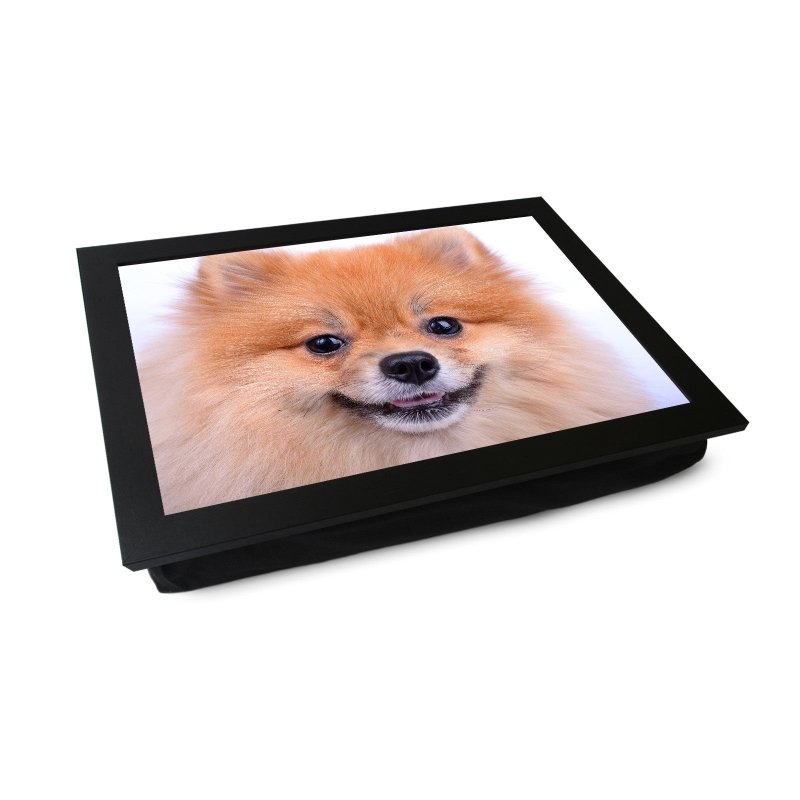 Yoosh Pomeranian Dog Close Up Lap Tray - L0200 - Kitchen Tools & Gadgets - British D'sire