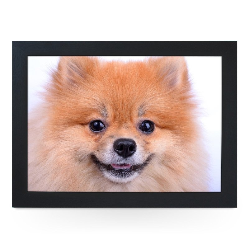 Yoosh Pomeranian Dog Close Up Lap Tray - L0200 - Kitchen Tools & Gadgets - British D'sire