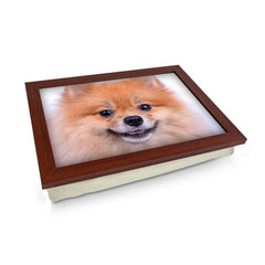 Yoosh Pomeranian Dog Close Up Lap Tray - L0200 - Kitchen Tools & Gadgets - British D'sire