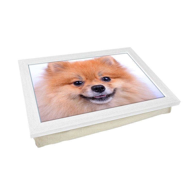 Yoosh Pomeranian Dog Close Up Lap Tray - L0200 - Kitchen Tools & Gadgets - British D'sire